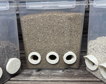 Quail Feeder with 3 Ports Installed | Ready-to-Use Feed Saving Container for Regular & Jumbo Quail
