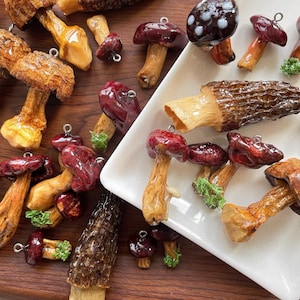 May include: A collection of mushroom-shaped charms in various colors, including brown, red, and white. The charms are made of polymer clay and have a realistic appearance. Some of the charms have a shiny finish, while others have a matte finish.