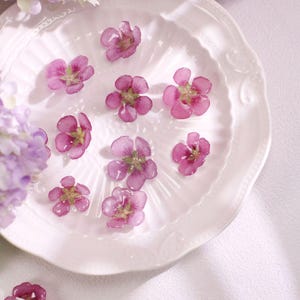 Peut inclure: Une assiette blanche à bord festonné présente plusieurs petites fleurs roses avec des centres jaunes. Les fleurs sont disposées en motif dispersé. Des fleurs violettes sont en arrière-plan, avec un fond blanc doux.