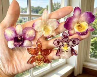 Pre-Drilled Natural Orchid, Real Flower Beads for Jewelry Making, Handmade Earring Components, Botanical Confetti, Wedding Craft Supply