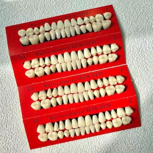 3/10/50/100 set Realistic Resin teeth.  human tooth set. Halloween projects handmade jewelry, horror , gothic,cosplay, punk,wholesale