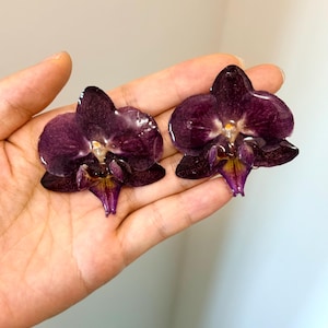 May include: A pair of dark purple orchid flower earrings with a glossy, resin-coated finish. Each flower features deep violet petals with subtle dark speckling and a central yellow and deep purple throat, preserved in a clear, shiny protective layer.