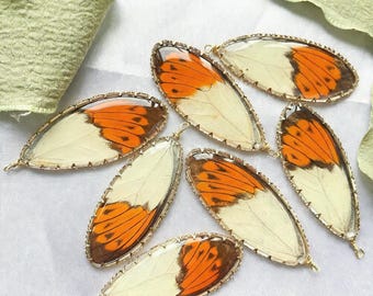 Dijes de alas de mariposa reales, joyas inspiradas en la naturaleza, accesorios para collares y pendientes, suministros de joyería natural hechos a mano.