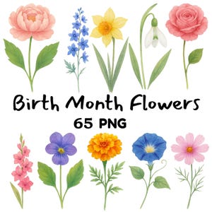 Bundle de cliparts fleurs mois de naissance PNG aquarelle florale avec fond transparent téléchargement numérique pour Cricut, sublimation, autocollants