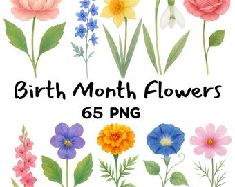 Birth Month Flowers Clipart Watercolor Floral PNG Bundle Digital Download Minimalist Watercolor Birth Month Flowers Cute Floral Graphics