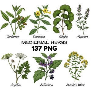 Medicinal Plants Stickers - Etsy