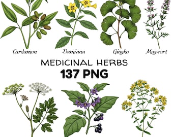 Vintage Medicinal Herbs Clipart Bundle: Botanical Illustrations PNG Digital Download Digital Art Medicinal Herbs Collection Rustic Herbs