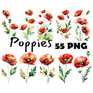 Bouquet de fleurs de pavot rouge aquarelle abstraite en téléchargement numérique Clipart fleurs de pavot Illustration fond transparent graphiques cartes à monter soi-même