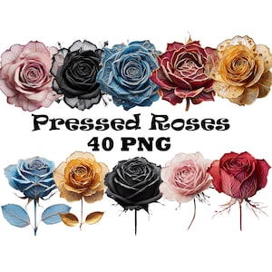 Paquete de descarga digital de fondo transparente de imágenes prediseñadas de flores de rosa prensadas y secas, imágenes prediseñadas de esqueleto de flores de rosa, arte de flores prensadas digitales