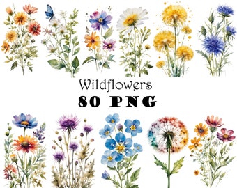 Wildflower Watercolor Clipart PNG Bundle Transparent Background  Floral Digital Download for Junk Journals, Scrapbooking, Commercial Use