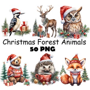 Bundle de cliparts aquarelle animaux de la forêt de Noël PNG Animaux de la forêt dans un chapeau de Noël Graphique imprimable Fête des animaux de la forêt Artisanat bricolage