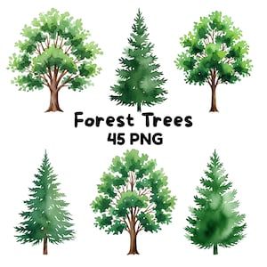 Bundle de 45 cliparts arbres forestiers aquarelle avec fond transparent arbres à feuilles persistantes et feuillus téléchargement numérique usage commercial gratuit