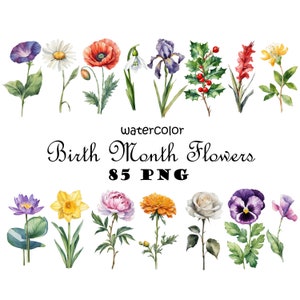 Aquarela Mês De Nascimento Flores Clipart PNG Pacote Digital Clássico Jardim Flores Gráficos PNG Nascimento Flores Ilustrações Para Impressão PNG