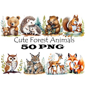 Clipart animaux mignons de la forêt - 50 créatures des bois en téléchargement numérique PNG, ours, renard, hibou, cerf, usage Commercial baby shower et art de la chambre d'enfant