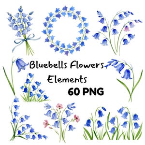 Enchanted Forest Bluebells Clipart Transparent PNG Flowers & Wreaths for Scrapbooking, Planners Fairycore Crafts Wedding Invites Designs