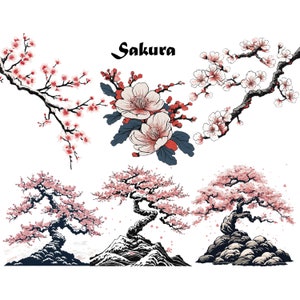 Sakura clipart PNG Sakura Tree Sakura branch Sakura Flower Watercolor Clipart transparent Background Japanese Clipart Peach Blossom Tree