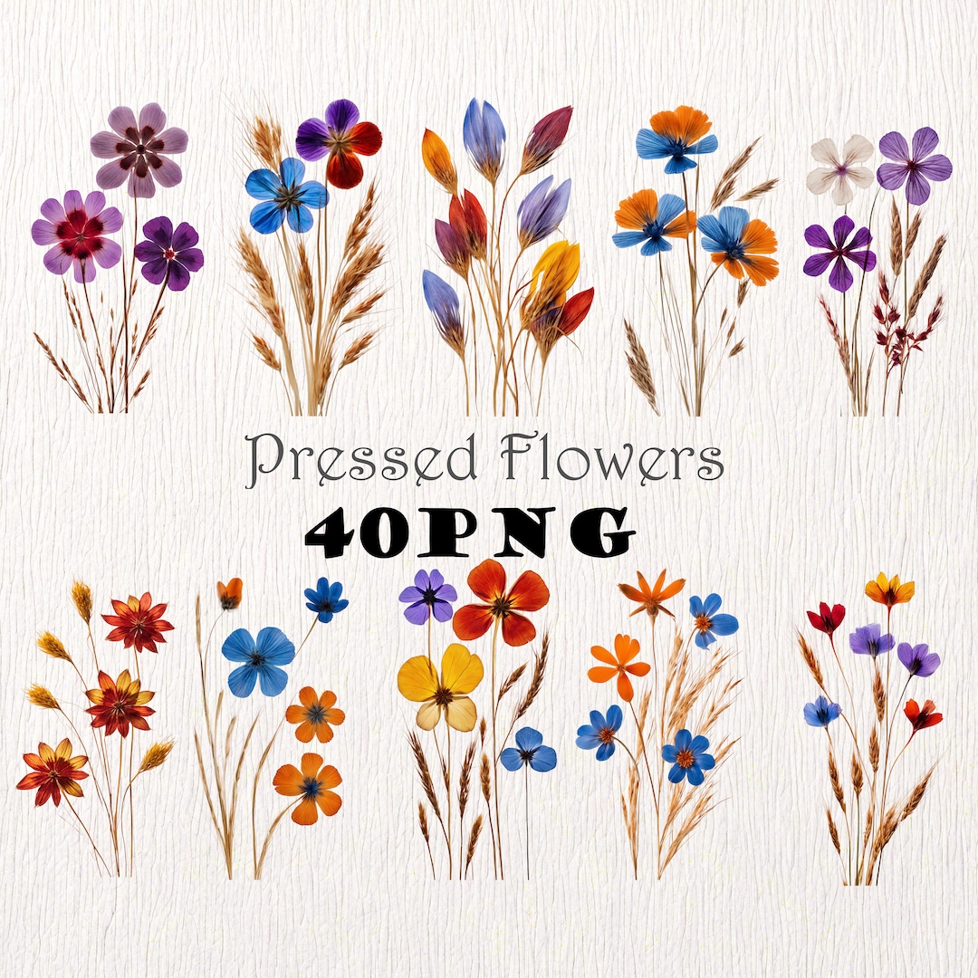 Dried Wildflowers Free Printable