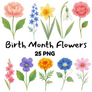 Mês de nascimento Flores Clipart PNG Pacote Aquarela Floral PNGs com fundo transparente Download digital para Cricut, Sublimação, Adesivos