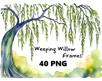 Trauerweide Baum Rahmen transparenten Hintergrund Clipart Bundle für DIY Einladungen Karten druckbare Weide Baum Bordüre Overlay