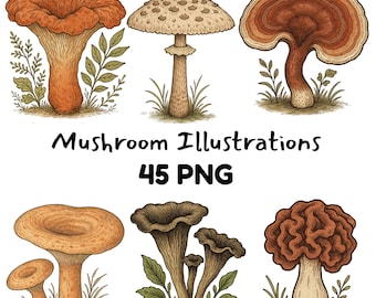 Vintage Mushroom Clipart Bundle: 45 Fungi Illustrations Digital Download Foraging Clipart