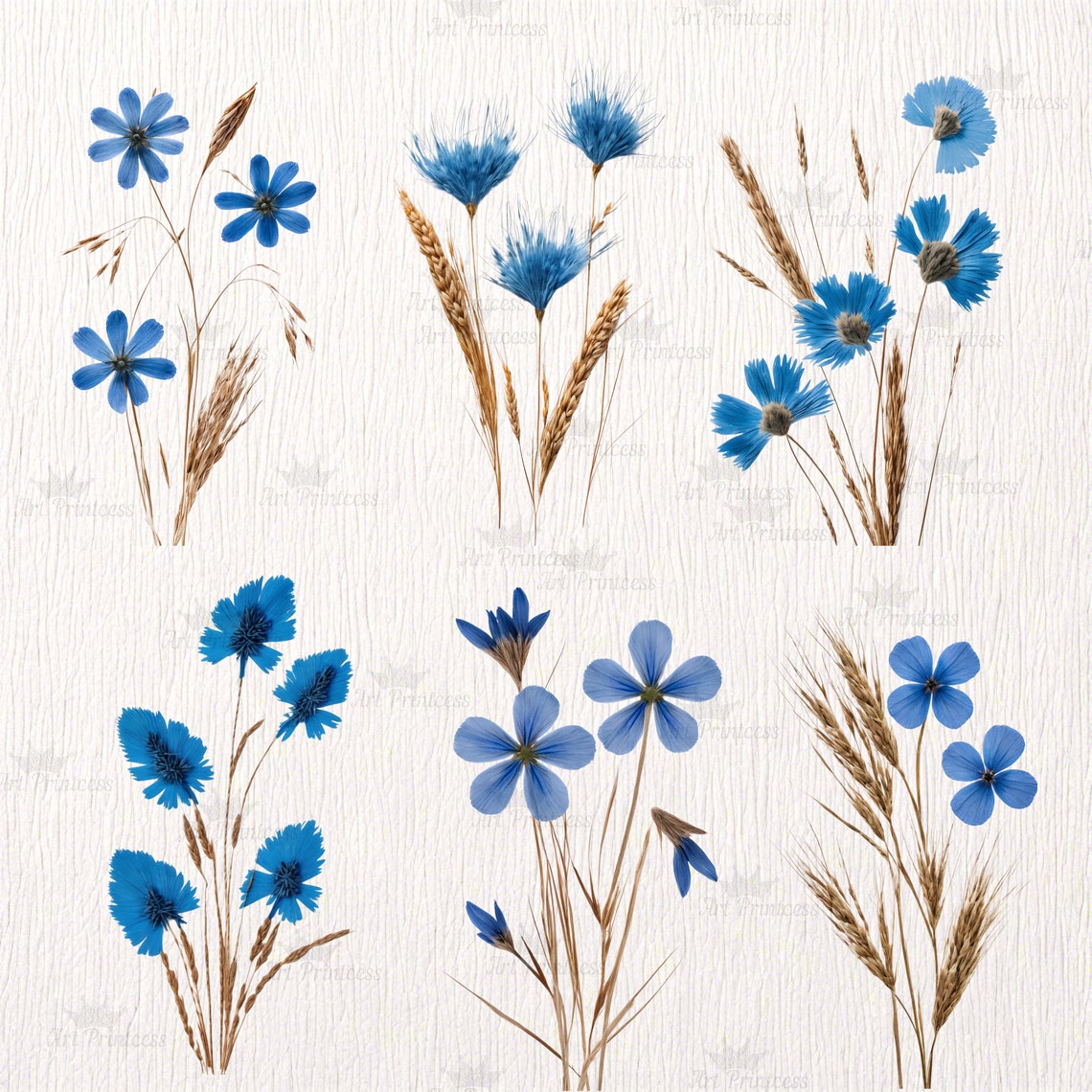 Real Dried Pressed Wildflowers Photo Clipart Bundle PNG Dried Plants ...