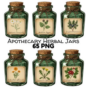 Vintage Apothecary Jar Clipart Bundle 65 Herbal Bottles PNG Digital Download Herbal Apothecary Clipart Vintage Spices Digital Antique Bottle