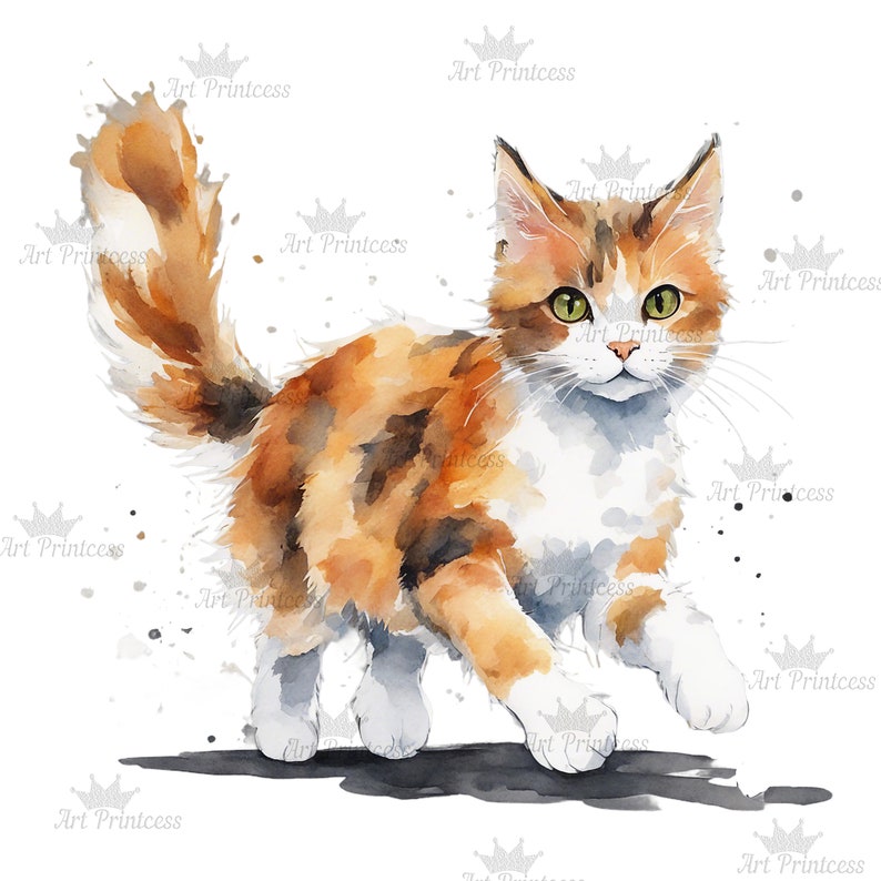 Calico Cat Watercolor Clipart PNG Bundle Cute Baby Cat Clipart Calico ...