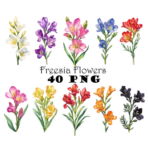 Freesia Flower Watercolor Clipart PNG Freesia Flower Single Stalks Illustrations Printable Garden Flowers Set 7th Anniversary Flower