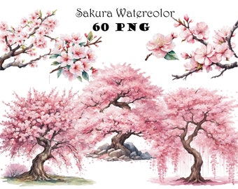 May include: Watercolor illustrations of pink cherry blossom trees with branches of flowers. The text "Sakura Watercolor 60 PNG" is at the top of the image.