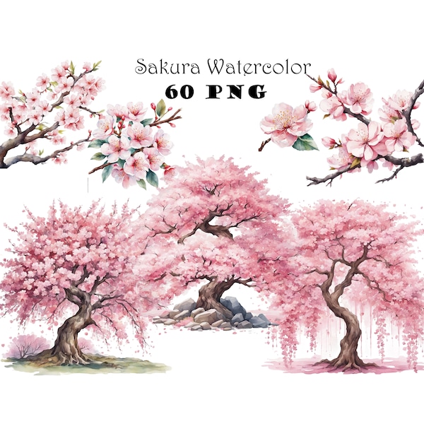 Sakura aquarelle Clipart PNG Sakura arbre Clipart Sakura fleur Clipart Sakura branche Clipart arbre fleur pleureur téléchargement graphique