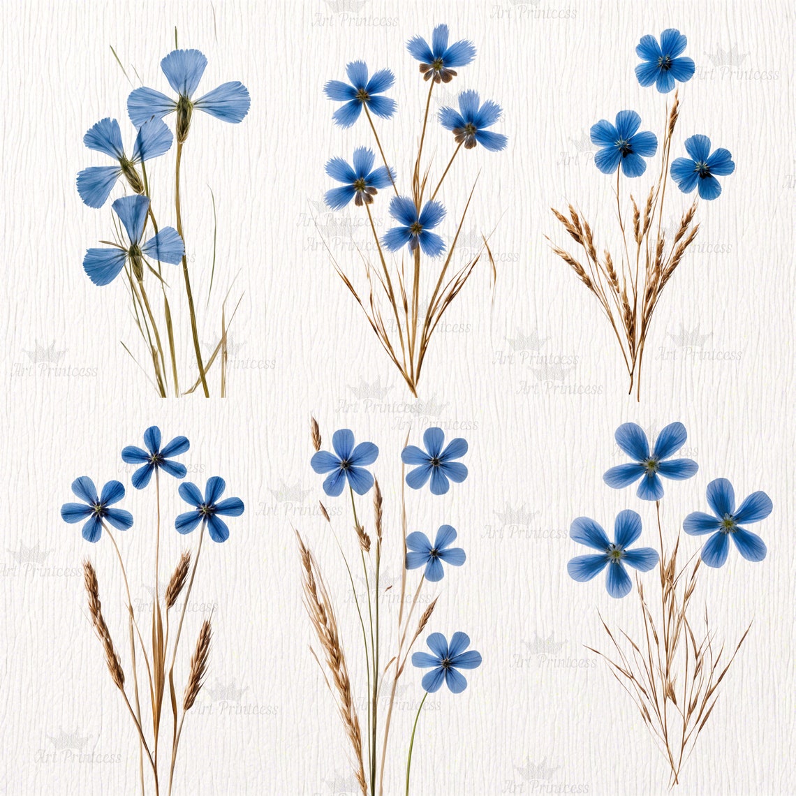 Real Dried Pressed Wildflowers Photo Clipart Bundle PNG Dried Plants ...
