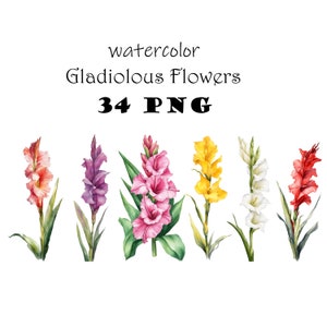 Gladiolus Flower Watercolor Clipart PNG Gladiolus Flower Single Stalks Illustrations Printable Garden Flowers Set 40th Anniversary Flower