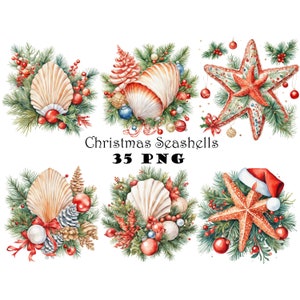 Conchiglie di Natale costiere 35 Clipart PNG Acquerello Spiaggia tropicale Grafica natalizia PNG Illustrazioni festive uniche Vacanza tropicale