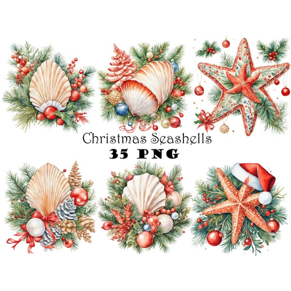 Coastal Christmas Seashells 35 Clipart PNG Watercolor Tropical Beach Christmas Graphics PNG Unique Festive Illustrations Tropical Holiday