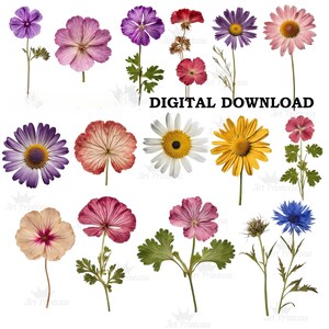 May include: A collection of various pressed flowers including purple, pink, yellow, and blue blossoms with green stems and leaves, arranged on a white background with the text DIGITAL DOWNLOAD centered in the middle of the image.