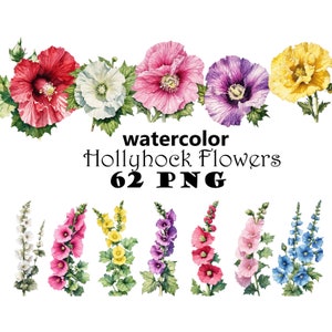 Aquarel stokroos bloemen clipart bundel PNG afdrukbare stokroos graphics kleurrijke stokroos illustratie tuin bloemen clipart bundel