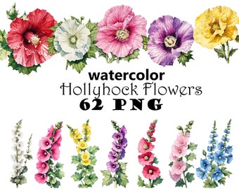 Watercolor Hollyhock Flowers Clipart Bundle PNG Printable Hollyhock Graphics Colorful Hollyhock Illustration Garden Flowers Clipart Bundle