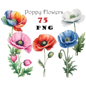 Bundle de 75 cliparts aquarelle fleur de pavot PNG Naissance août fleur Clipart imprimable 9e anniversaire fleurs Clipart PNG