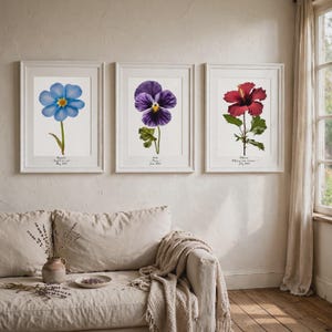 May include: Three framed botanical art prints hanging on a wall. The left print shows a blue Myosotis flower, the center print features a purple Viola flower, and the right print displays a red Hibiscus flower. Each print includes text below the flower.