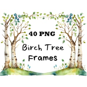Aquarell Birken Baum Bordürenrahmen Clipart Birken Baum Bordüren Transparenter Hintergrund Birken Baum Overlays DIY Karten Waldbaum Bordürenrahmen