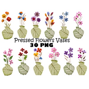 Vasos de flores prensadas em aquarela clipart 30 PNG download digital arranjos florais, ilustração botânica, materiais de artesanato, uso comercial