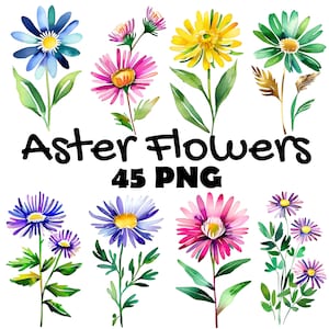 Watercolor Aster Flower Clipart Bundle: 45 PNG Floral Art (Digital Download)