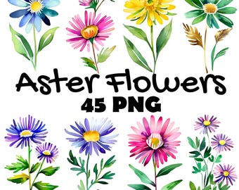 Aquarell Aster Blume Clipart Bundle: 45 PNG Floral Art (Digitaler Download)