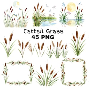 May include: Watercolor illustrations of cattail grass and dragonflies. The image includes individual cattail plants, arrangements with a moon and water reflections, and frames. The text "Cattail Grass 45 PNG" is also present.