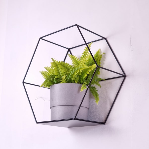 Metal Shelf, Black Hexagon Planter – HEX - Loft Industrial