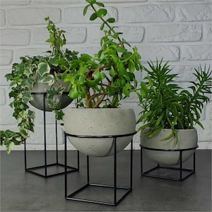 Può includere: Tre piante in vaso con diversi tipi di vegetazione in vasi di cemento su supporti in metallo nero. Le piante sono su uno sfondo di mattoni bianchi.