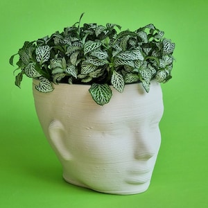Può includere: Vaso in ceramica bianca a forma di viso umano con una pianta verde a foglie che cresce dalla cima.