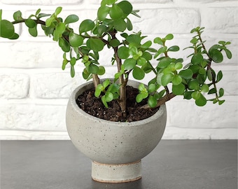 Pot de fleurs boule en béton sur pied