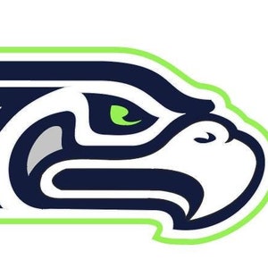 Custom Seahawk Logo