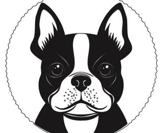 Editable Boston Terrier svg. file